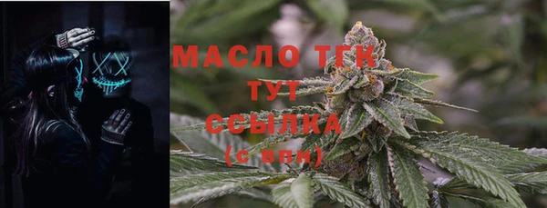 молекула духа Надым