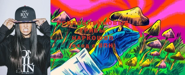 индика Наволоки